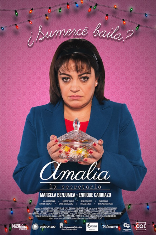 Постер: Amalia the Secretary