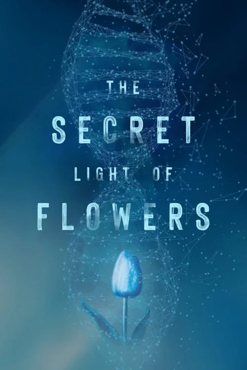 Постер: The Secret Light of Flowers