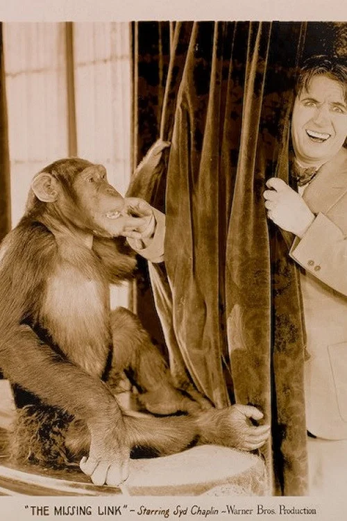 Постер: The Missing Link