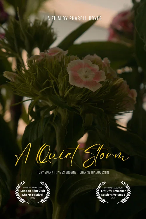 Постер: A Quiet Storm