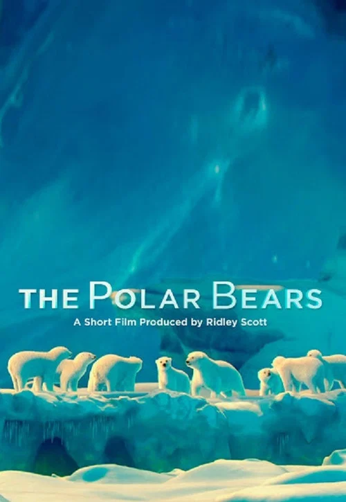 Постер: The Polar Bears