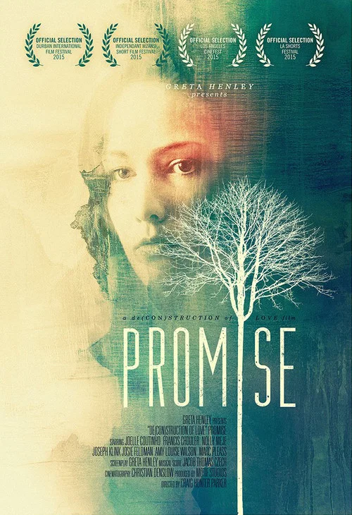 Постер: Promise