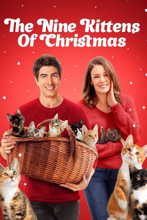 Постер: Kitten