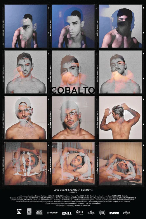 Постер: Cobalto