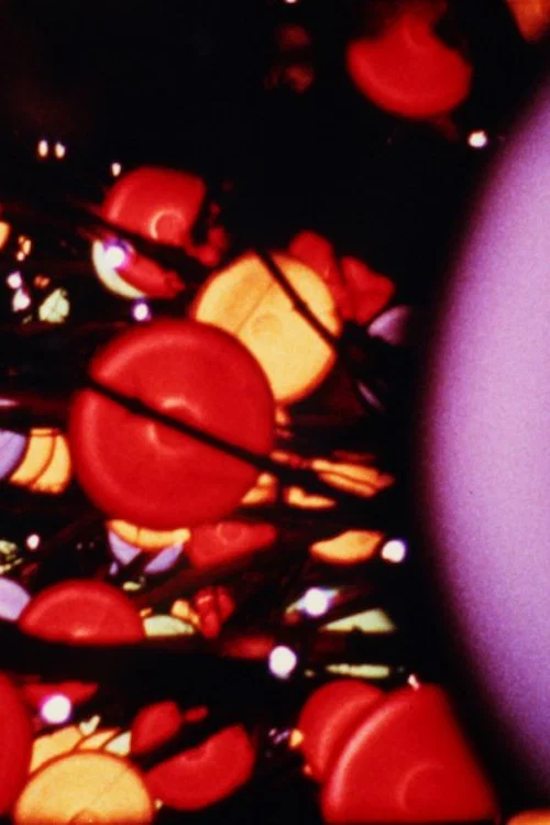 Постер: Lights