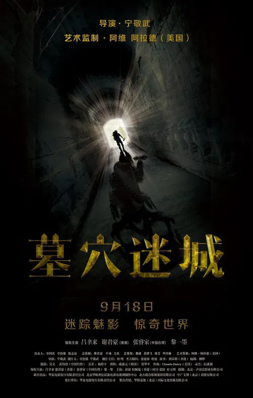 Постер: Mu xue mi cheng