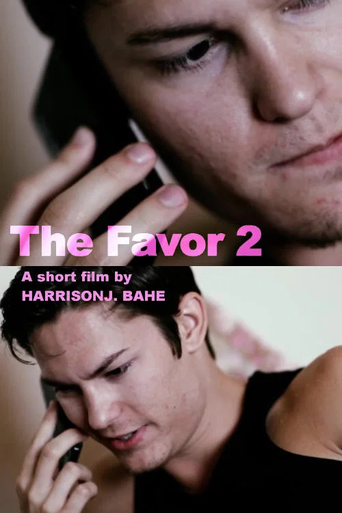 Постер: The Favor 2