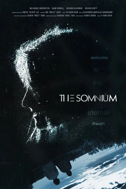 Постер: The Somnium