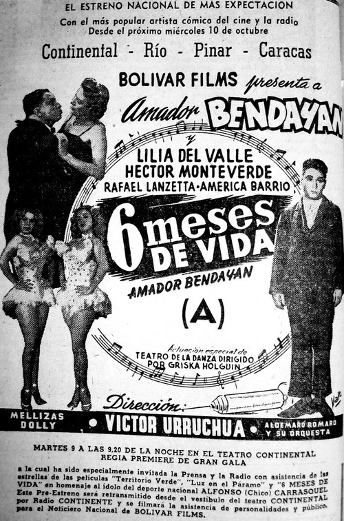 Постер: Seis meses de vida