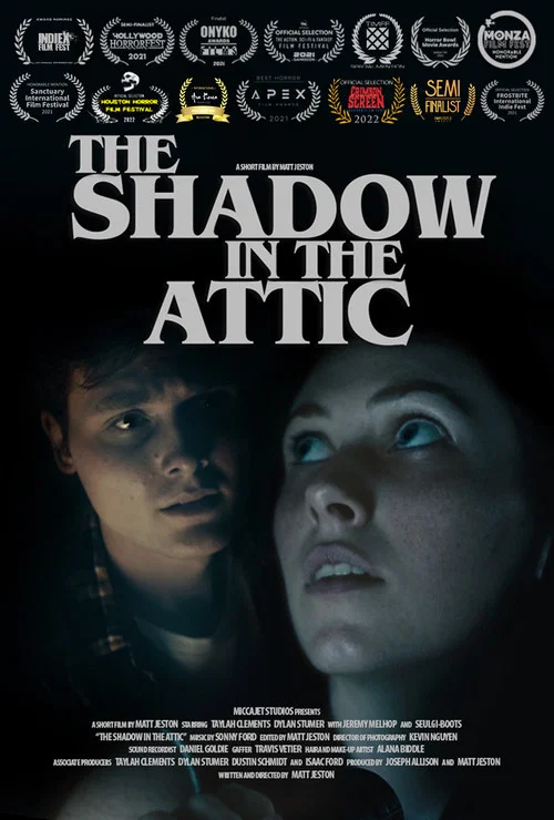 Постер: The Shadow in the Attic