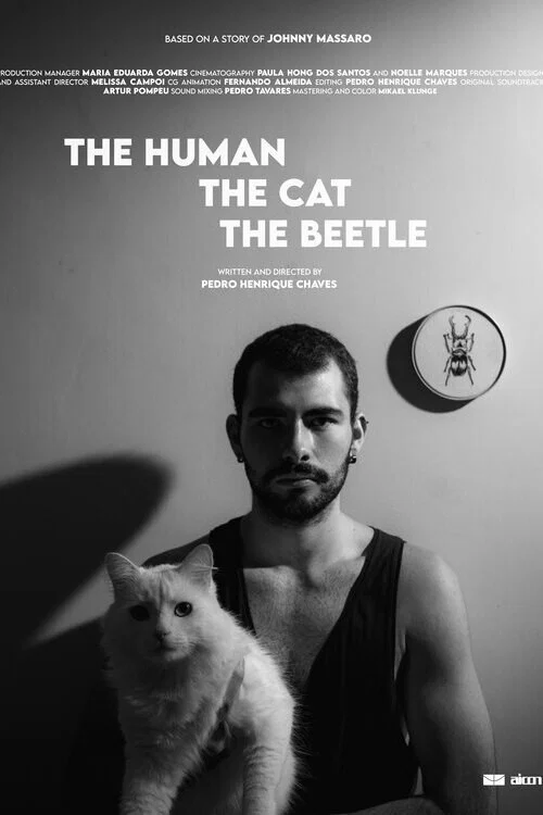 Постер: O Homem O Gato O Besouro