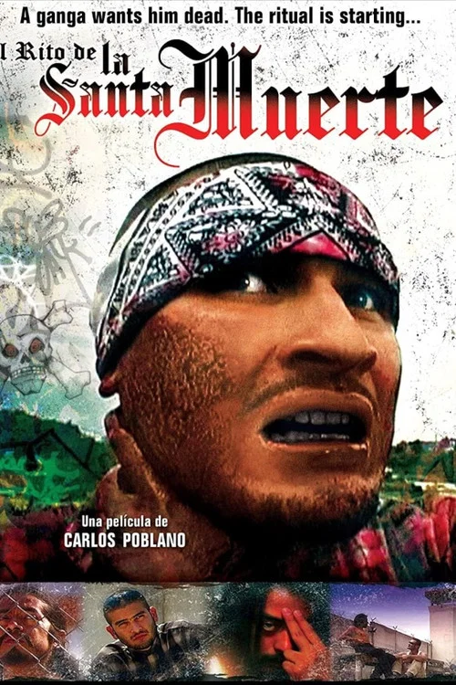 Постер: La santa muerte