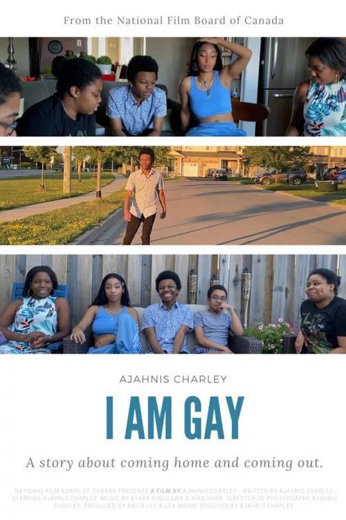 Постер: I Am Gay