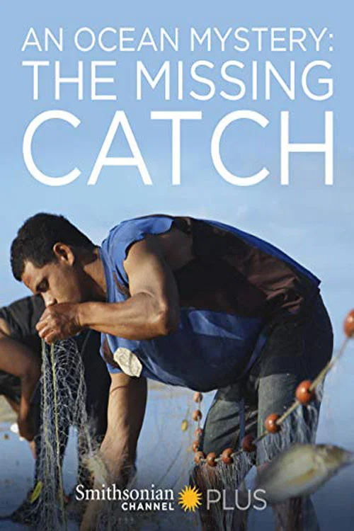 Постер: The Missing Cat