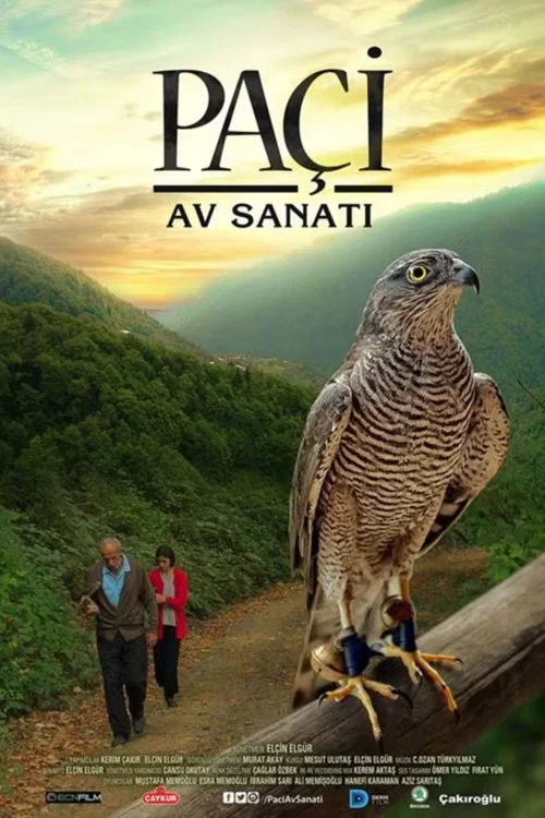 Постер: Paçi: Av sanati