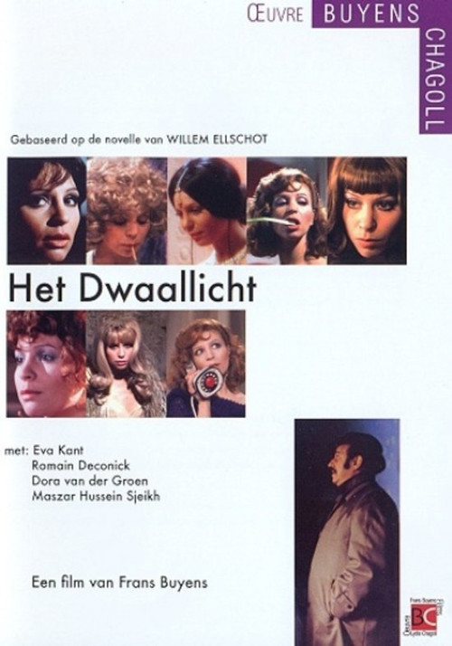 Постер: Het Dwaallicht