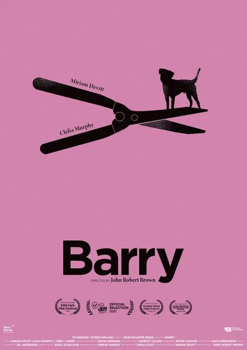 Постер: Barry