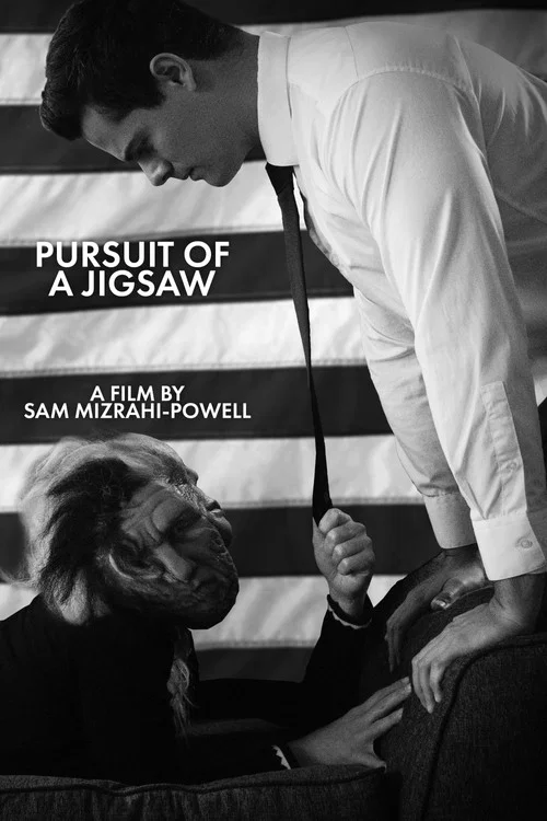 Постер: Pursuit of a Jigsaw