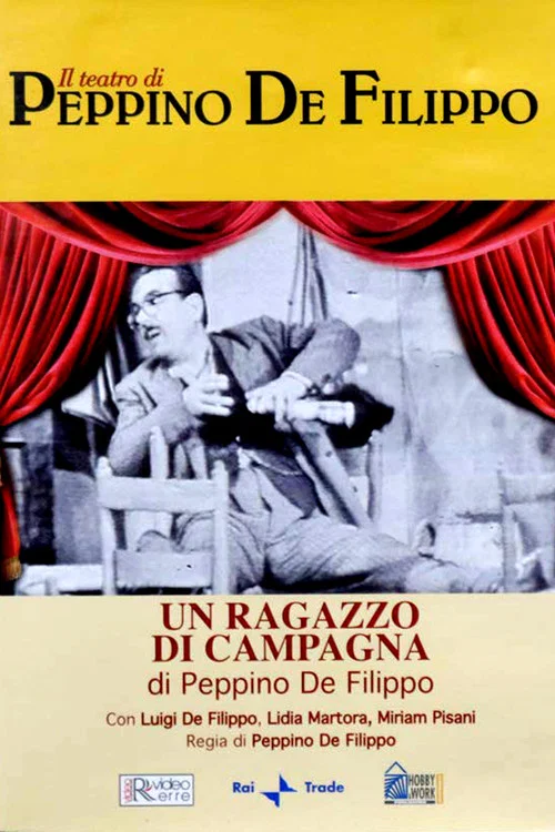 Постер: Un ragazzo di campagna