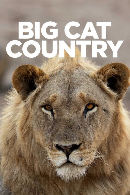 Постер: Big Cat Country