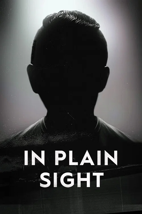 Постер: In Plain Sight