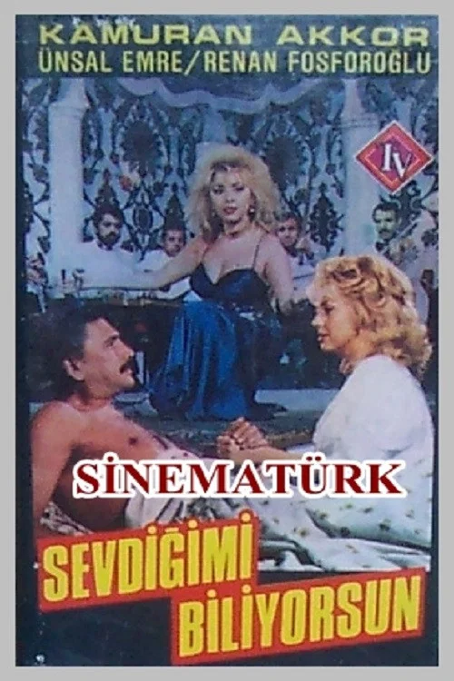 Постер: Sevdigimi Biliyorsun