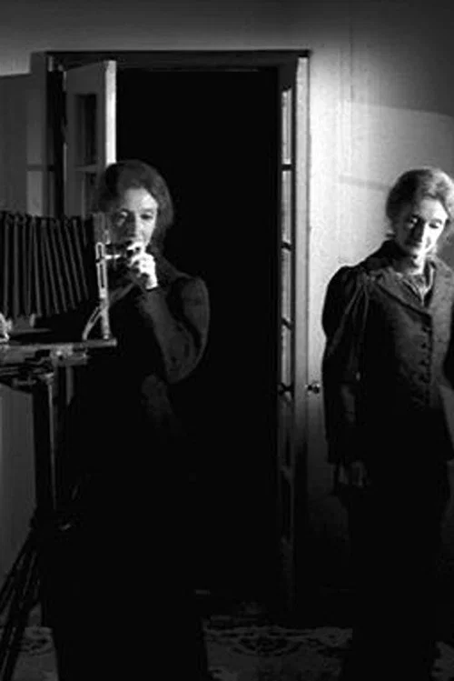 Постер: The Multiple Selves of Hannah Maynard