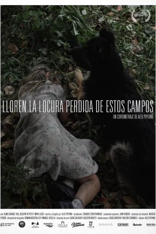 Постер: Lloren la locura perdida de estos campos