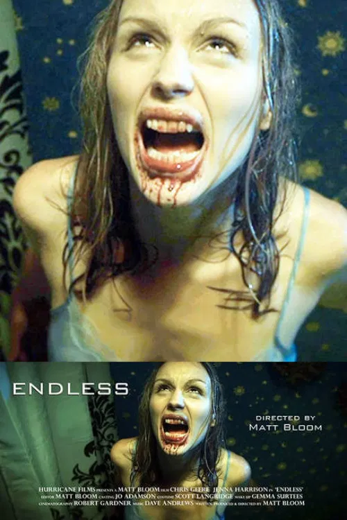 Постер: Endless