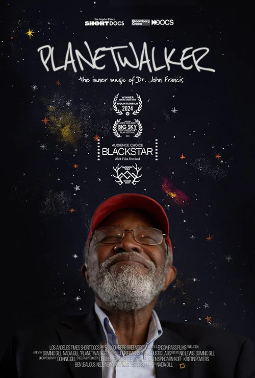 Постер: Planetwalker