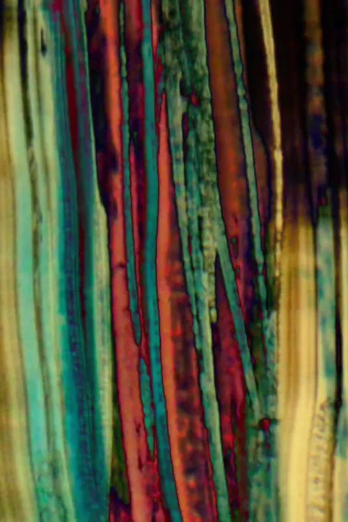 Постер: Breathing Room