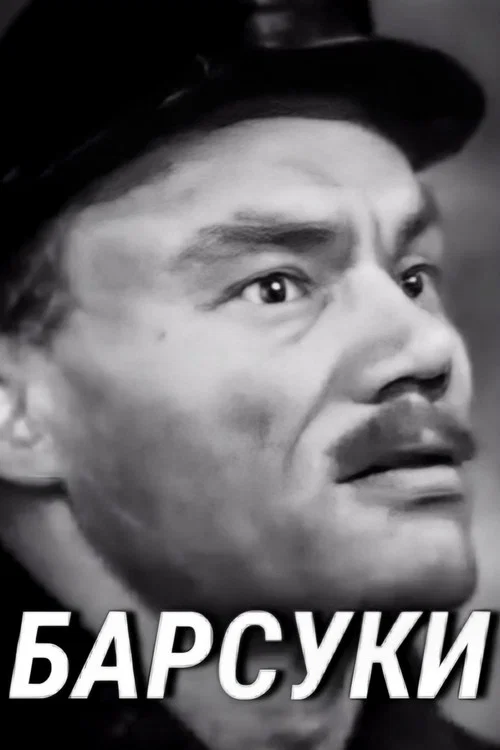 Постер: Барсуки
