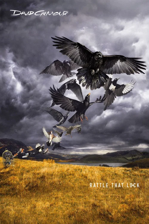 Постер: David Gilmour: Rattle That Lock