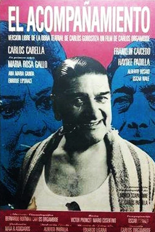 Постер: El acompañamiento