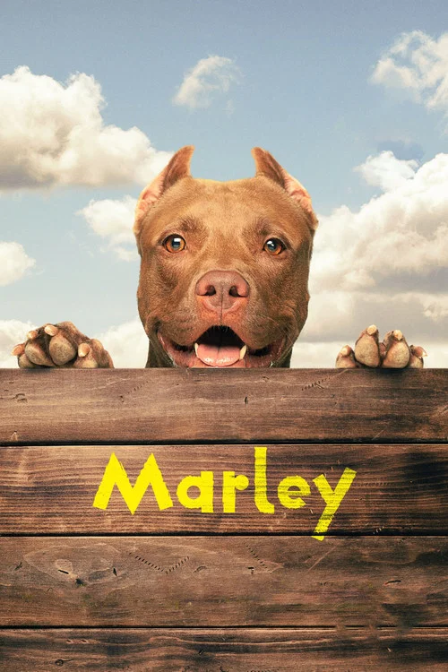 Постер: Marley
