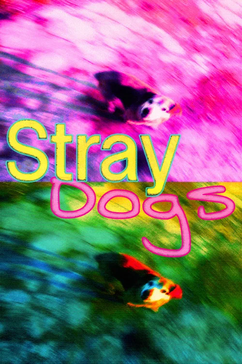 Постер: Stray Dogs