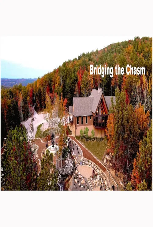 Постер: Bridging the Chasm