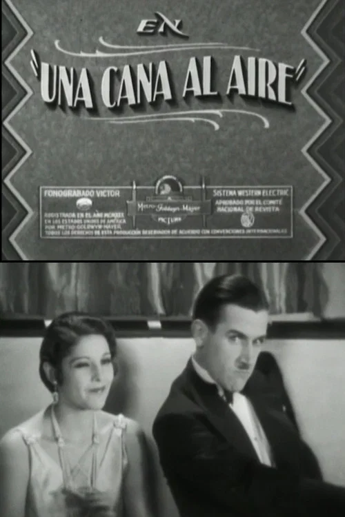 Постер: Una cana al aire