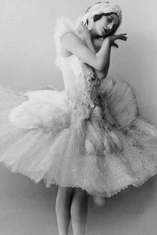 Постер: The Immortal Swan