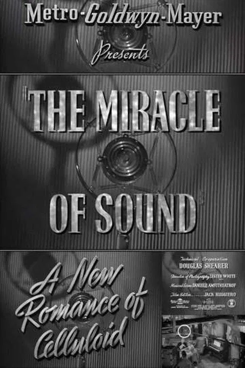 Постер: The Miracle of Sound