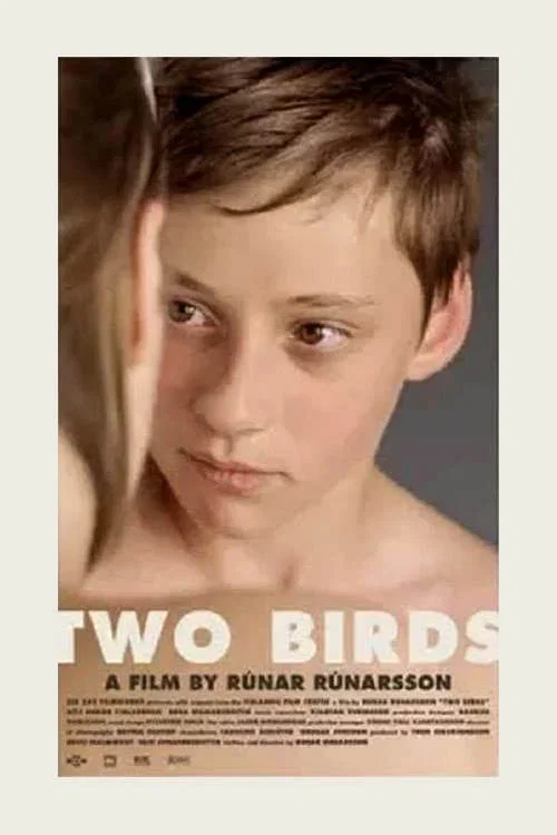 Постер: Two Birds