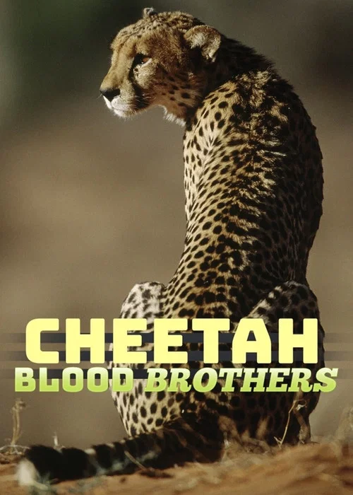 Постер: Cheetah Blood Brothers