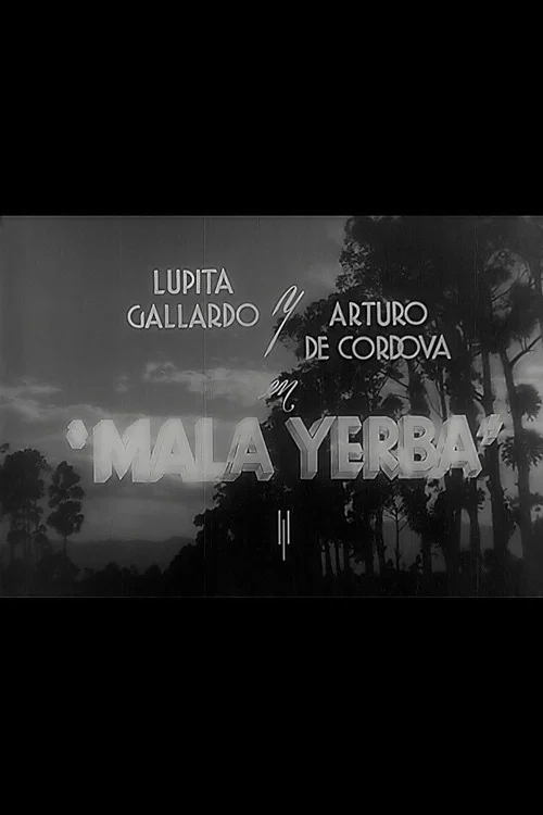 Постер: Mala yerba