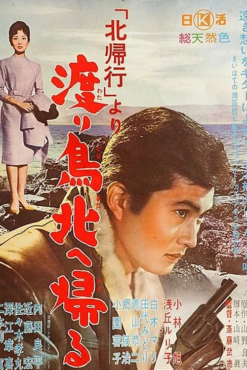 Постер: Kita kikô yori: Wataridori kita e kaeru