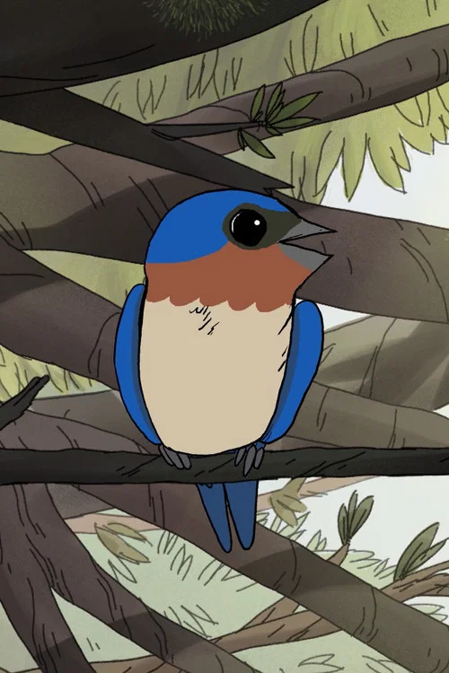 Постер: Birds
