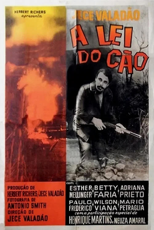 Постер: A Lei do Cão