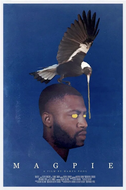 Постер: Magpie