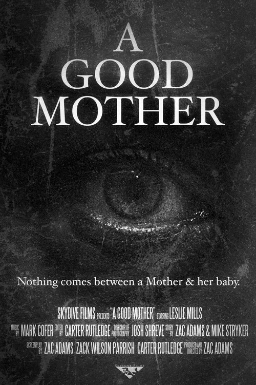 Постер: A Good Mother