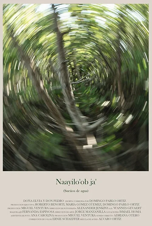 Постер: Sueños de agua