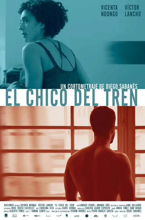 Постер: El chico del tren